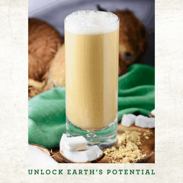 SUPERFOOD PROTEIN SMOOTHIE - Coco 336g - Image 5