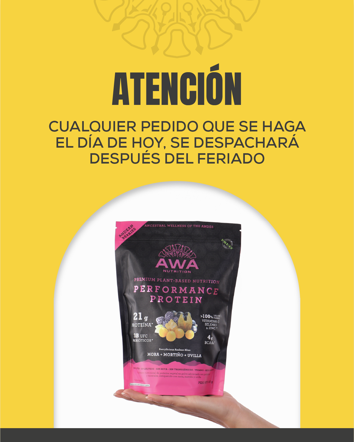 POP UP_Mesa de trabajo 1